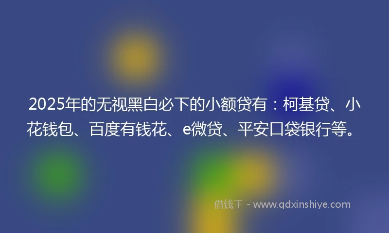 2025年的无视黑白必下的小额贷有：柯基贷、小花钱包、百度有钱花、e微贷、平安口袋银行等。