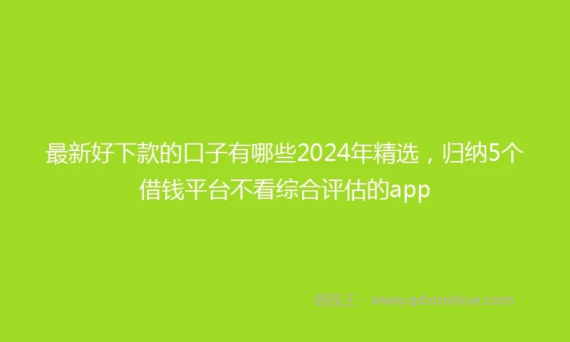 最新好下款的口子有哪些2024年精选，归纳5个借钱平台不看综合评估的app