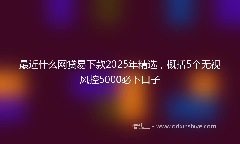 最近什么网贷易下款2025年精选，概括5个无视风控5000必下口子