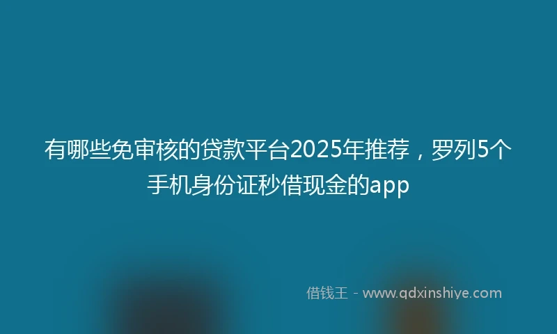 有哪些免审核的贷款平台2025年推荐，罗列5个手机身份证秒借现金的app