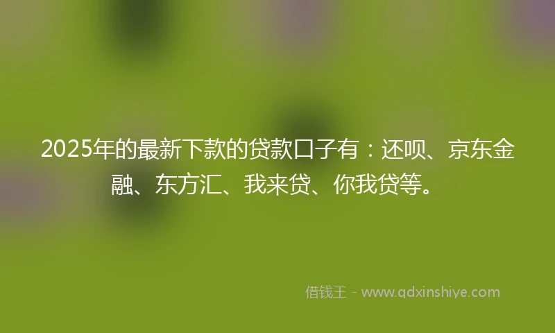 2025年的最新下款的贷款口子有：还呗、京东金融、东方汇、我来贷、你我贷等。
