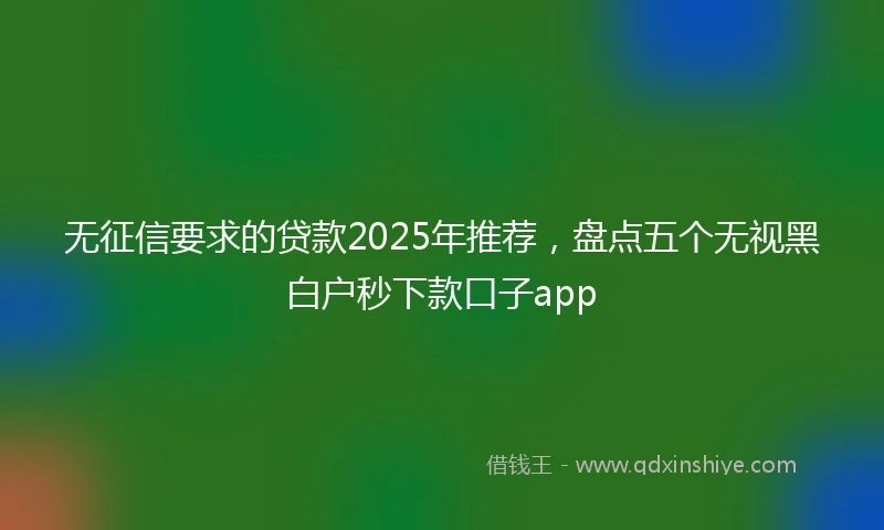 无征信要求的贷款2025年推荐，盘点五个无视黑白户秒下款口子app