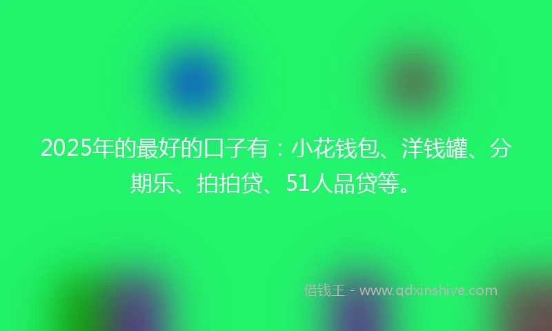 2025年的最好的口子有：小花钱包、洋钱罐、分期乐、拍拍贷、51人品贷等。