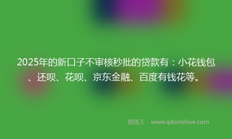 2025年的新口子不审核秒批的贷款有：小花钱包、还呗、花呗、京东金融、百度有钱花等。