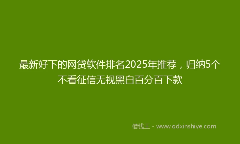 最新好下的网贷软件排名2025年推荐，归纳5个不看征信无视黑白百分百下款