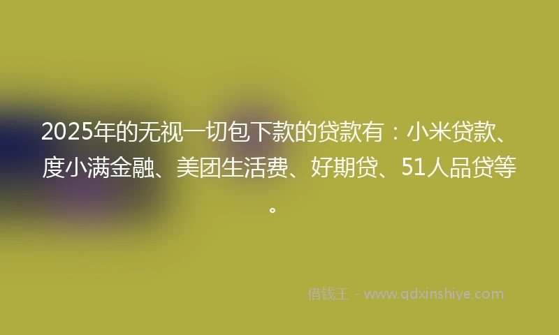 2025年的无视一切包下款的贷款有：小米贷款、度小满金融、美团生活费、好期贷、51人品贷等。