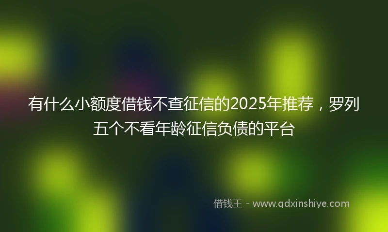 有什么小额度借钱不查征信的2025年推荐，罗列五个不看年龄征信负债的平台
