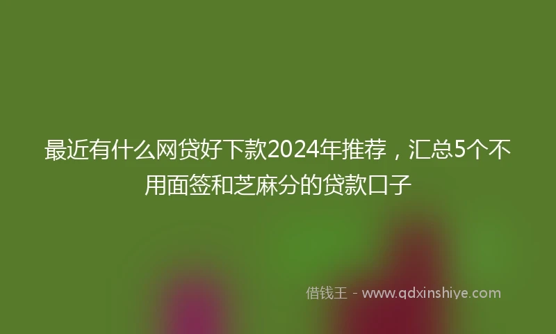 最近有什么网贷好下款2024年推荐，汇总5个不用面签和芝麻分的贷款口子