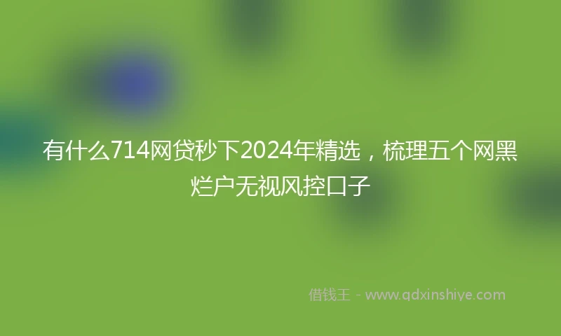 有什么714网贷秒下2024年精选，梳理五个网黑烂户无视风控口子
