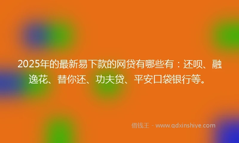 2025年的最新易下款的网贷有哪些有：还呗、融逸花、替你还、功夫贷、平安口袋银行等。