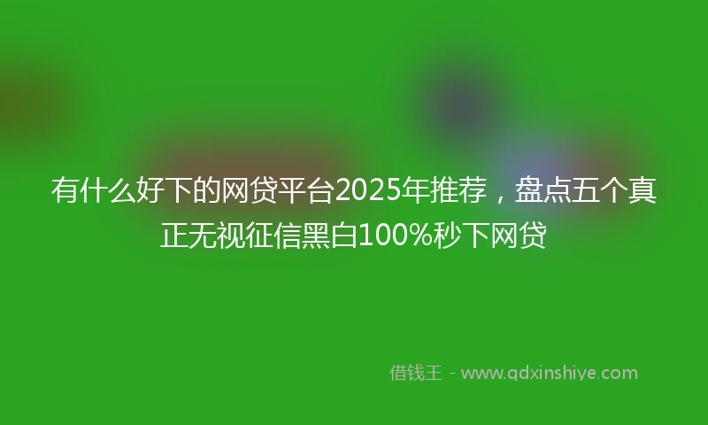 有什么好下的网贷平台2025年推荐，盘点五个真正无视征信黑白100%秒下网贷