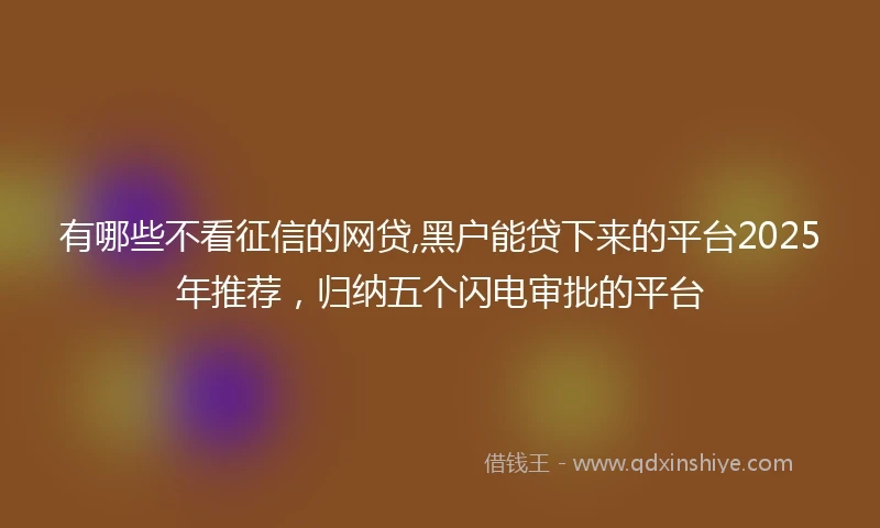 有哪些不看征信的网贷,黑户能贷下来的平台2025年推荐，归纳五个闪电审批的平台