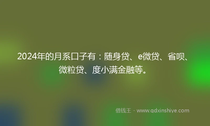 2024年的月系口子有:随身贷、e微贷、省呗、微粒贷、度小满金融等。