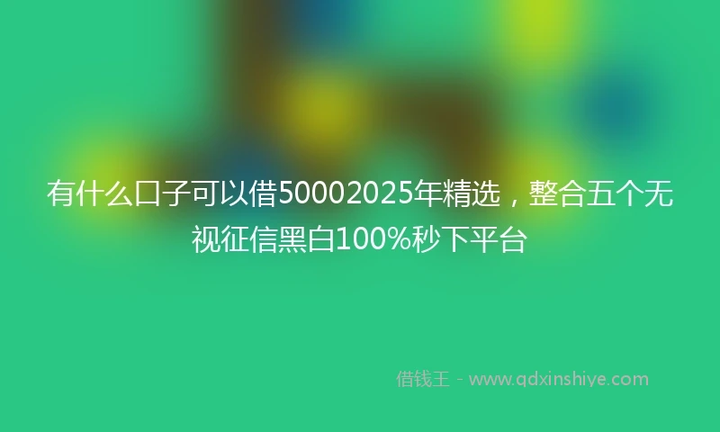 有什么口子可以借50002025年精选，整合五个无视征信黑白100%秒下平台