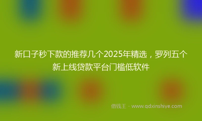 新口子秒下款的推荐几个2025年精选，罗列五个新上线贷款平台门槛低软件