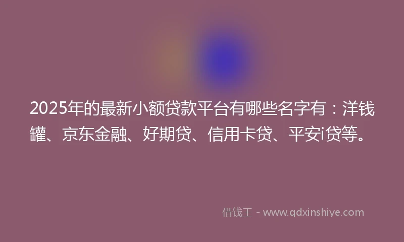2025年的最新小额贷款平台有哪些名字有：洋钱罐、京东金融、好期贷、信用卡贷、平安i贷等。