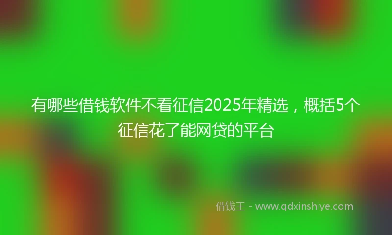 有哪些借钱软件不看征信2025年精选，概括5个征信花了能网贷的平台