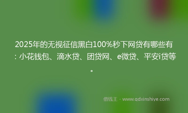 2025年的无视征信黑白100%秒下网贷有哪些有：小花钱包、滴水贷、团贷网、e微贷、平安i贷等。