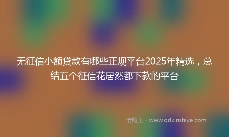 无征信小额贷款有哪些正规平台2025年精选，总结五个征信花居然都下款的平台