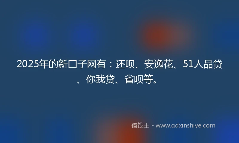 2025年的新囗子网有：还呗、安逸花、51人品贷、你我贷、省呗等。