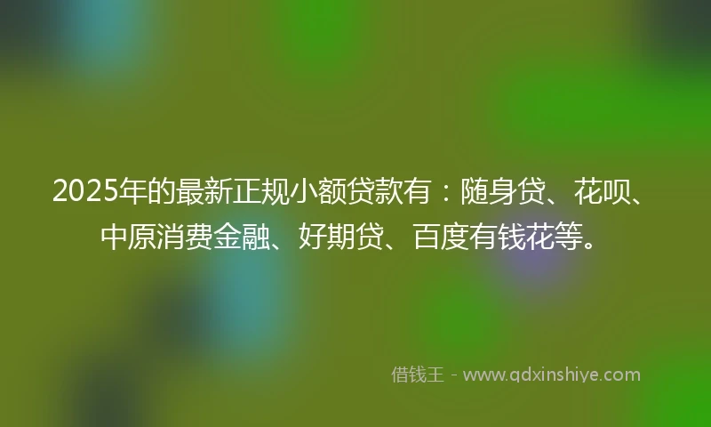 2025年的最新正规小额贷款有：随身贷、花呗、中原消费金融、好期贷、百度有钱花等。