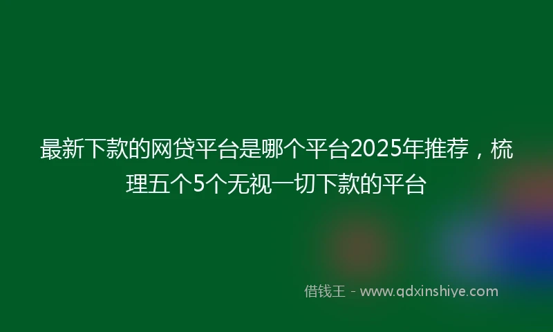 最新下款的网贷平台是哪个平台2025年推荐，梳理五个5个无视一切下款的平台