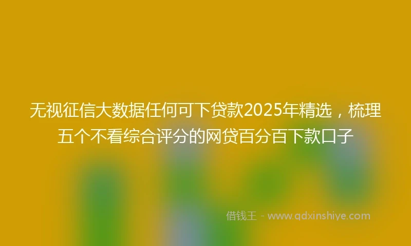 无视征信大数据任何可下贷款2025年精选，梳理五个不看综合评分的网贷百分百下款口子