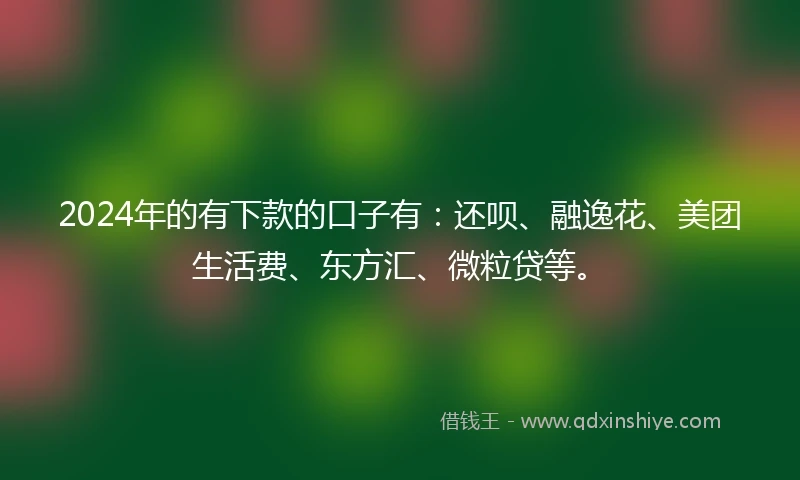 2024年的有下款的口子有：还呗、融逸花、美团生活费、东方汇、微粒贷等。