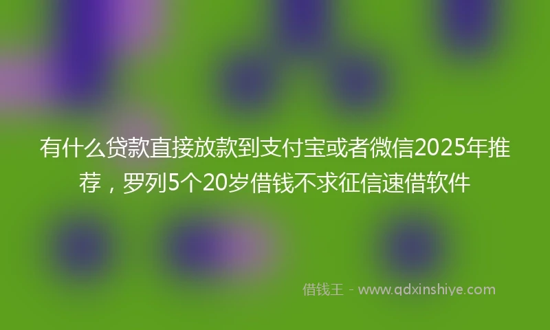 有什么贷款直接放款到支付宝或者微信2025年推荐,罗列5个20岁借钱不求征信速借软件