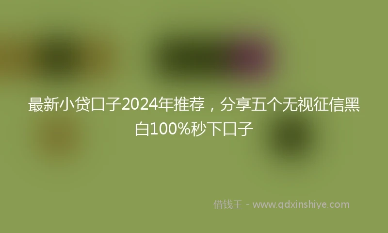 最新小贷口子2024年推荐，分享五个无视征信黑白100%秒下口子