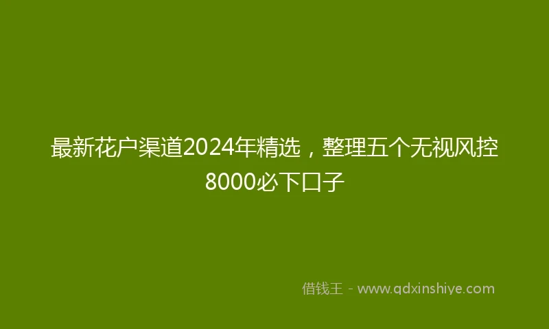 最新花户渠道2024年精选，整理五个无视风控8000必下口子