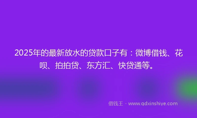 2025年的最新放水的贷款口子有：微博借钱、花呗、拍拍贷、东方汇、快贷通等。