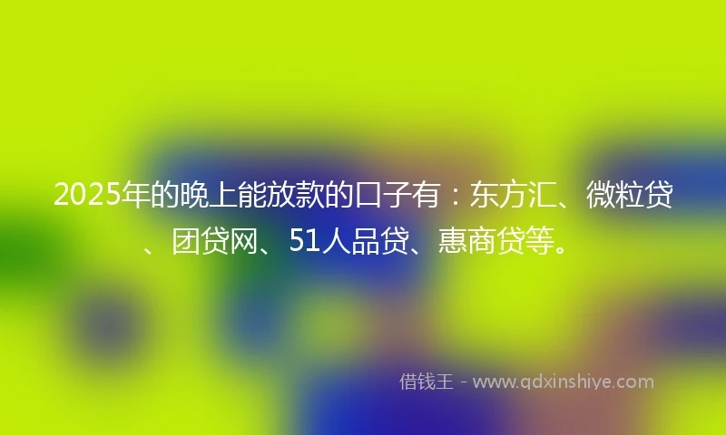 2025年的晚上能放款的口子有：东方汇、微粒贷、团贷网、51人品贷、惠商贷等。