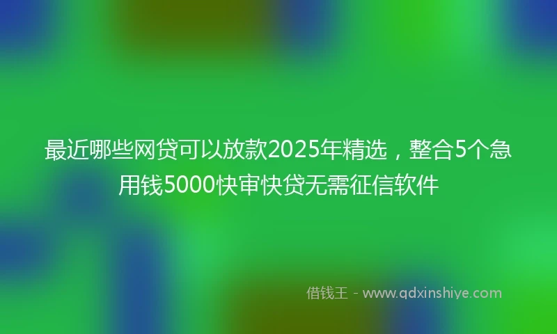 最近哪些网贷可以放款2025年精选，整合5个急用钱5000快审快贷无需征信软件