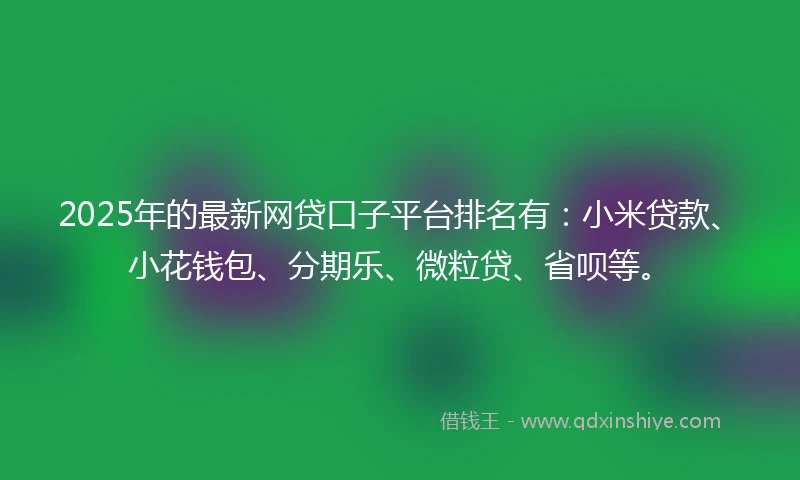 2025年的最新网贷口子平台排名有：小米贷款、小花钱包、分期乐、微粒贷、省呗等。