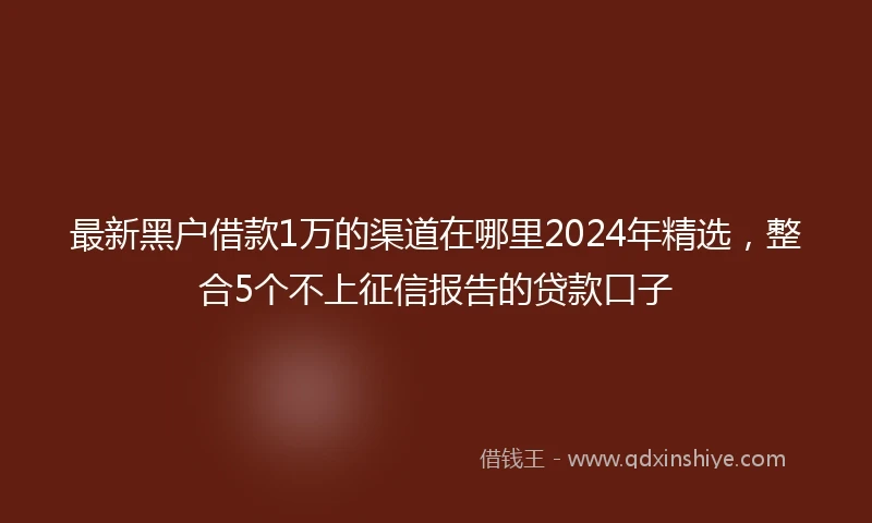 最新黑户借款1万的渠道在哪里2024年精选，整合5个不上征信报告的贷款口子