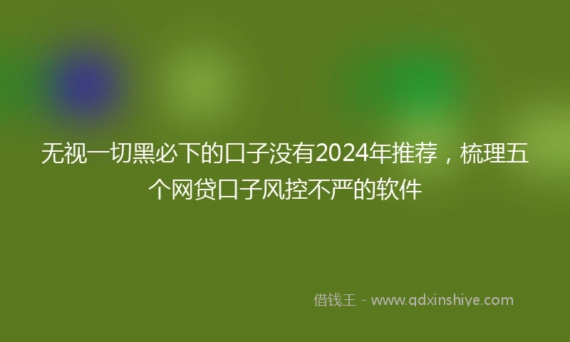 无视一切黑必下的口子没有2024年推荐，梳理五个网贷口子风控不严的软件