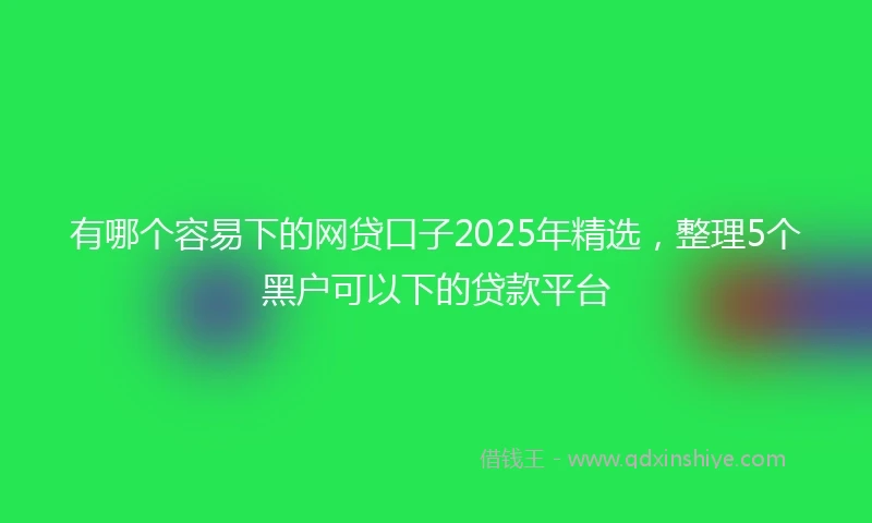 有哪个容易下的网贷口子2025年精选，整理5个黑户可以下的贷款平台