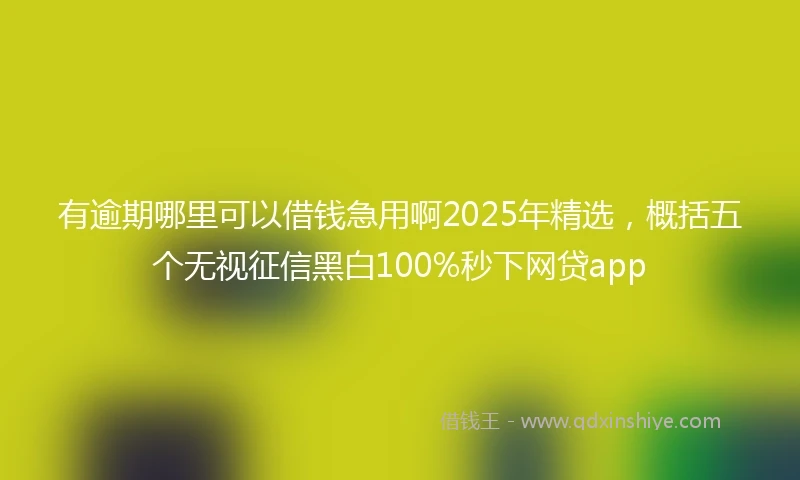 有逾期哪里可以借钱急用啊2025年精选，概括五个无视征信黑白100%秒下网贷app