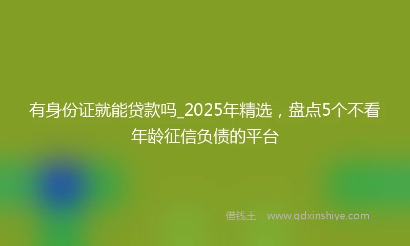 有身份证就能贷款吗_2025年精选，盘点5个不看年龄征信负债的平台