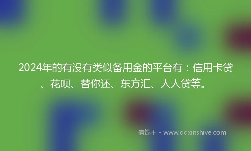 2024年的有没有类似备用金的平台有：信用卡贷、花呗、替你还、东方汇、人人贷等。