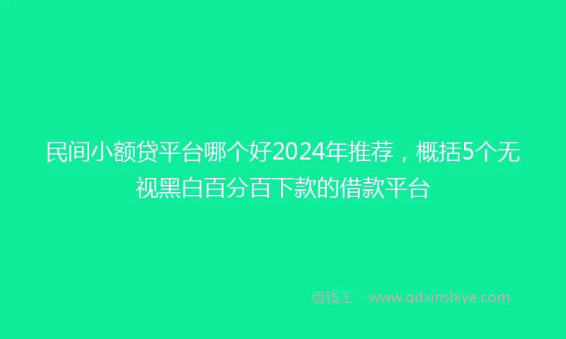 民间小额贷平台哪个好2024年推荐，概括5个无视黑白百分百下款的借款平台
