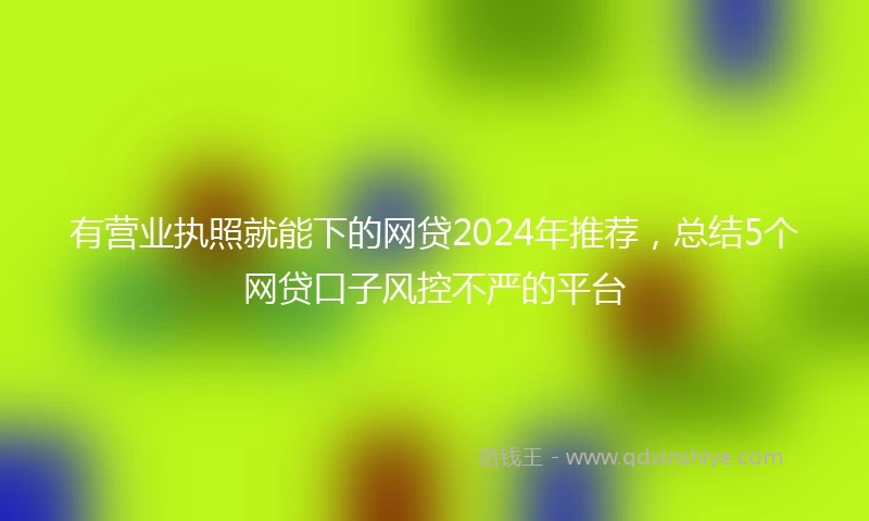 有营业执照就能下的网贷2024年推荐，总结5个网贷口子风控不严的平台