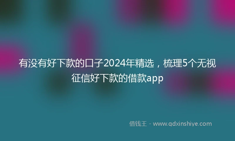 有没有好下款的口子2024年精选，梳理5个无视征信好下款的借款app