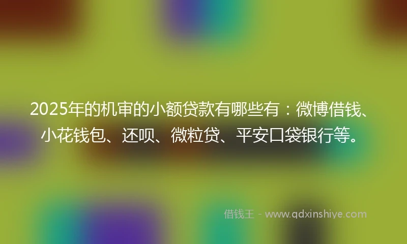 2025年的机审的小额贷款有哪些有：微博借钱、小花钱包、还呗、微粒贷、平安口袋银行等。
