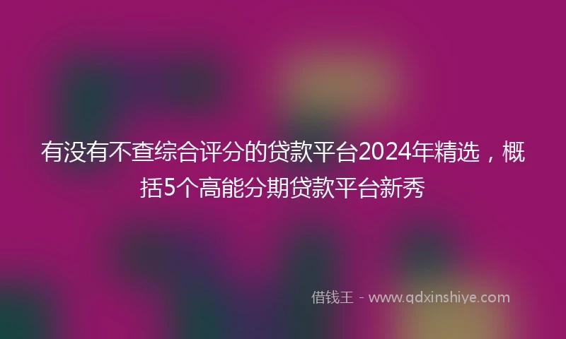 有没有不查综合评分的贷款平台2024年精选，概括5个高能分期贷款平台新秀