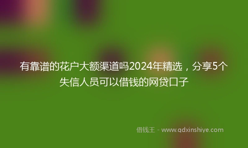 有靠谱的花户大额渠道吗2024年精选，分享5个失信人员可以借钱的网贷口子