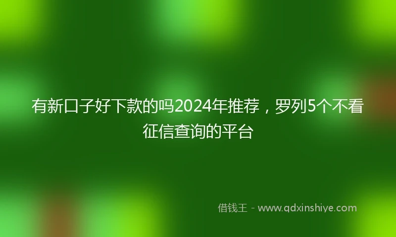 有新口子好下款的吗2024年推荐，罗列5个不看征信查询的平台