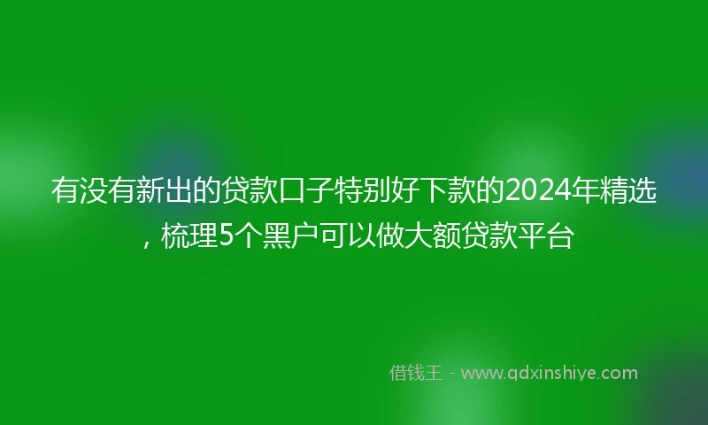 有没有新出的贷款口子特别好下款的2024年精选，梳理5个黑户可以做大额贷款平台