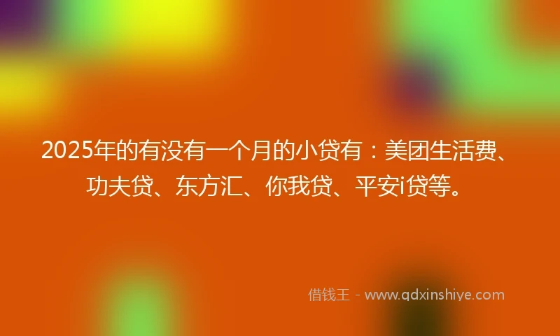 2025年的有没有一个月的小贷有：美团生活费、功夫贷、东方汇、你我贷、平安i贷等。